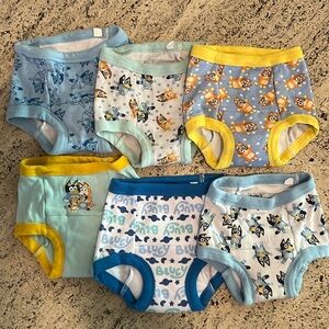 Bundle of 6 Bluey 2T Training Underwear